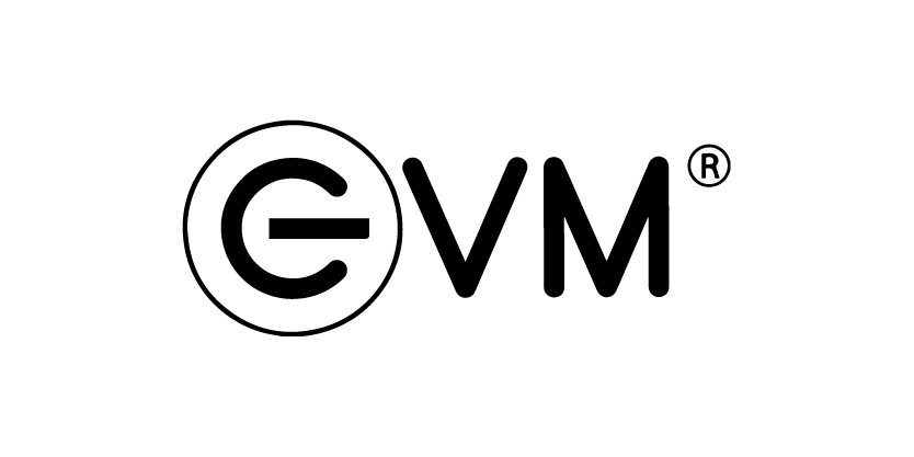 EVM logo
